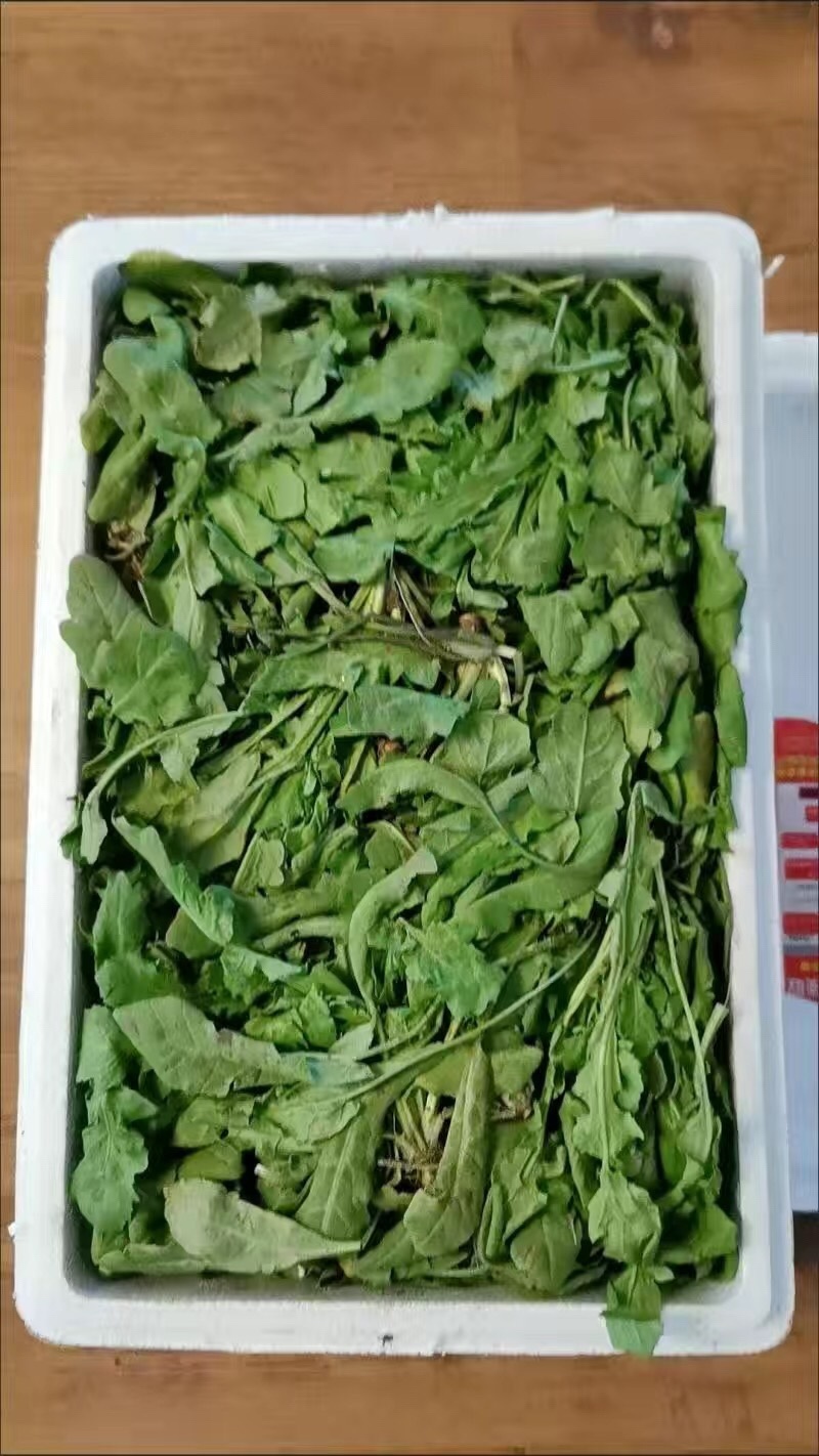 【3斤35元包邮】野生荠菜地丁菜野菜