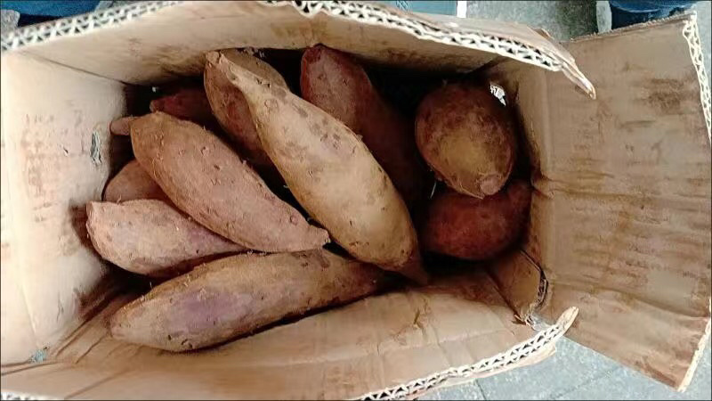 【10斤20元包邮】紫薯板栗熟蜜薯孕妇专用