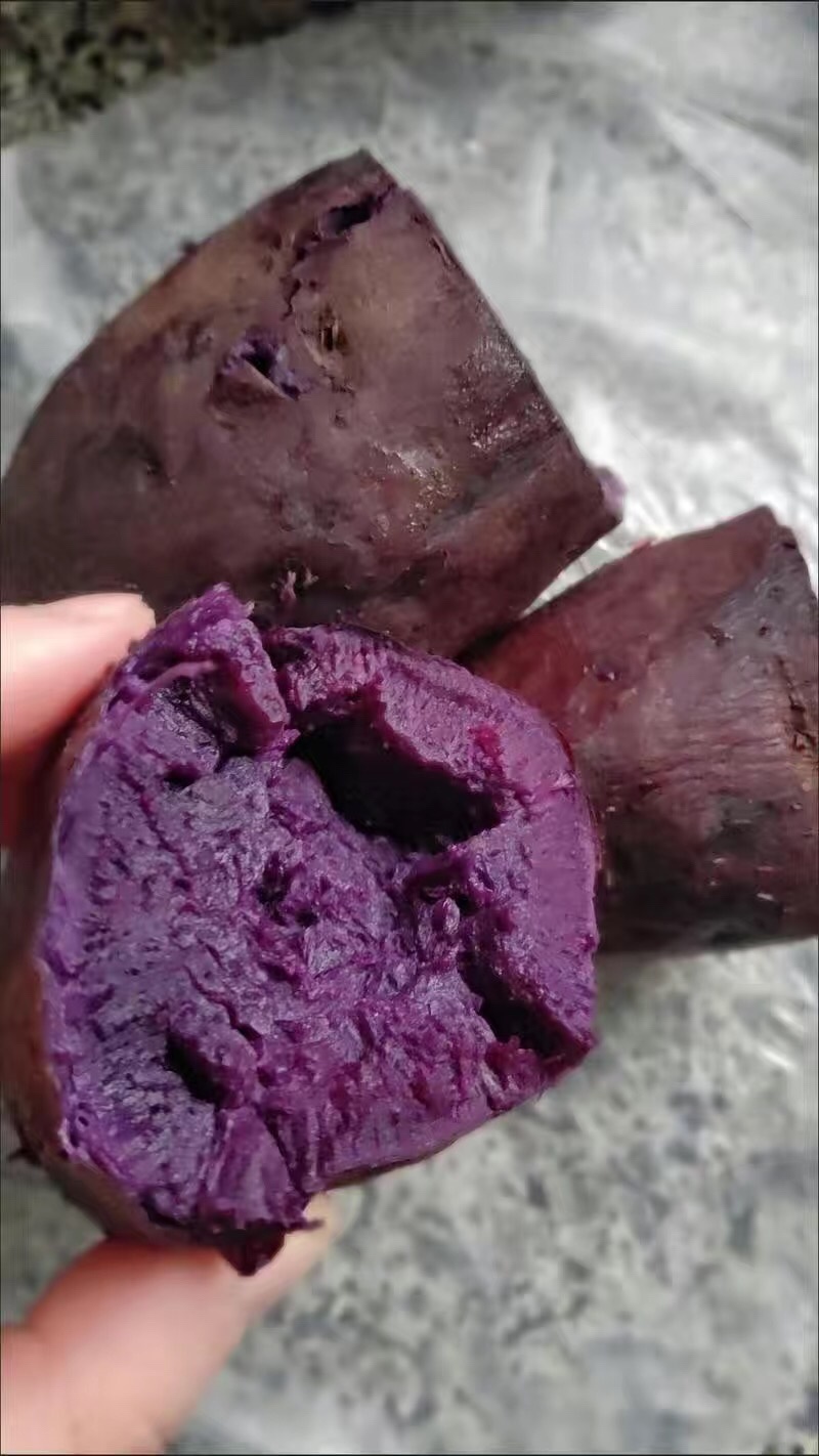 【10斤20元包邮】紫薯板栗熟蜜薯孕妇专用