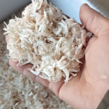 虎年第一批淡干无盐虾皮