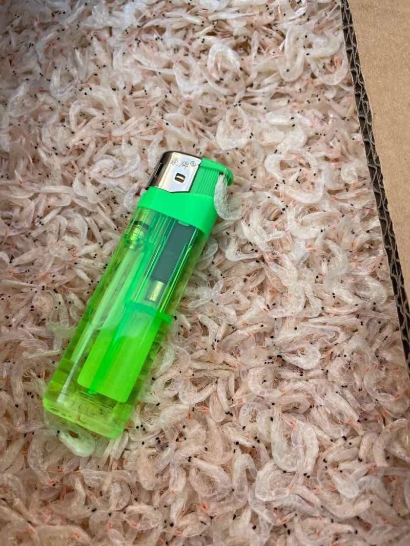 虎年第一批淡干无盐虾皮