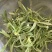 【5斤35元包邮】面条菜羊蹄菜柳叶菜
