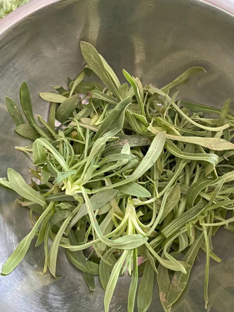 【5斤35元包邮】面条菜羊蹄菜柳叶菜