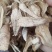 鸡腿菇