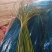 蒜薹苔条长60-70公，无斑点，帽红，条绿，而且还挺嫩。