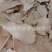 【薄片白土茯苓】@【同欢药材】中药材批发供应