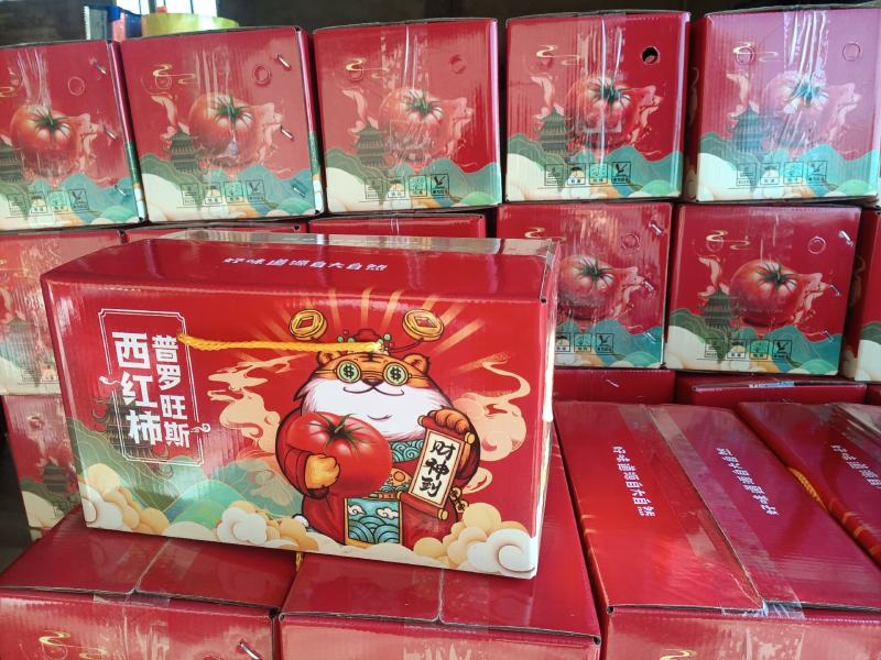 山东海阳普罗旺斯西红柿水果西红柿沙瓤团购礼盒包装