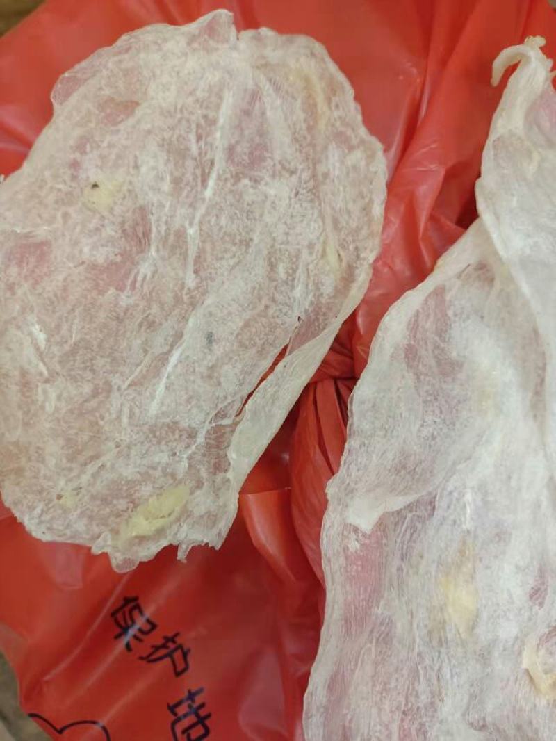 批发【30～40头左右鱼胶】筒胶泡发率高百姓吃得起的鱼胶