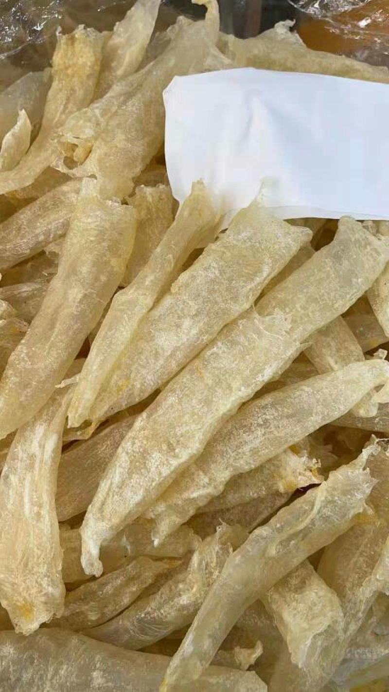 批发【30～40头左右鱼胶】筒胶泡发率高百姓吃得起的鱼胶
