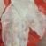 批发【30～40头左右鱼胶】筒胶泡发率高百姓吃得起的鱼胶