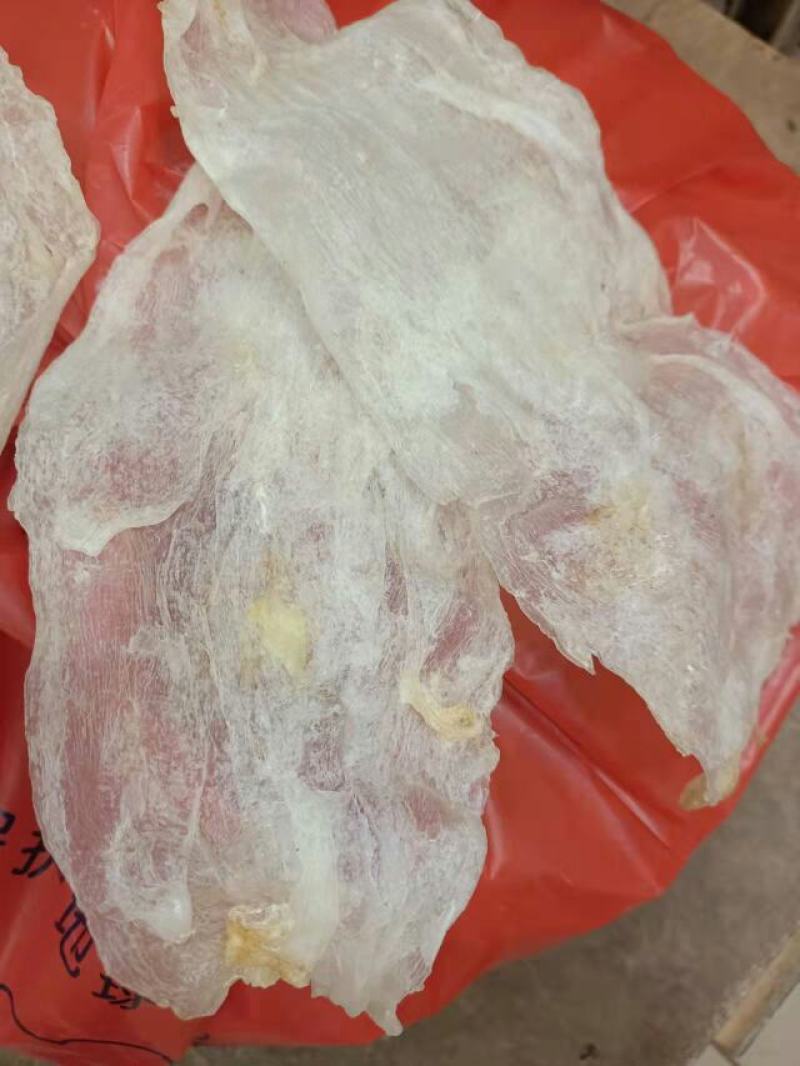 批发【30～40头左右鱼胶】筒胶泡发率高百姓吃得起的鱼胶