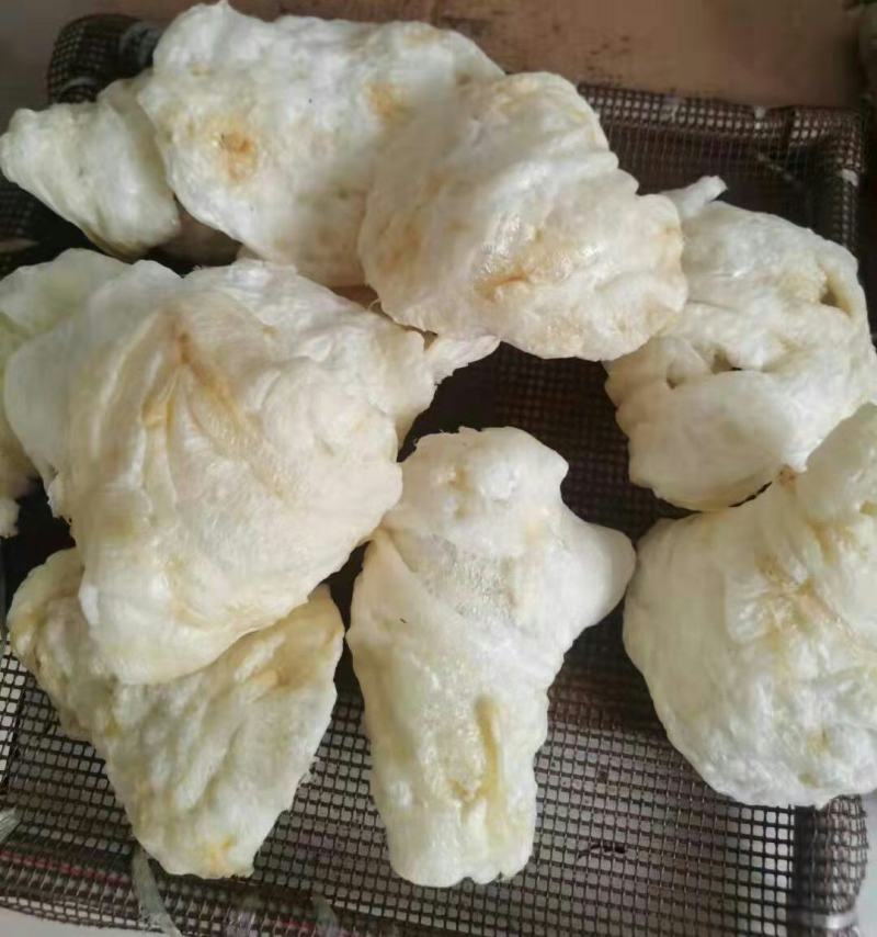 批发【30～40头左右鱼胶】筒胶泡发率高百姓吃得起的鱼胶