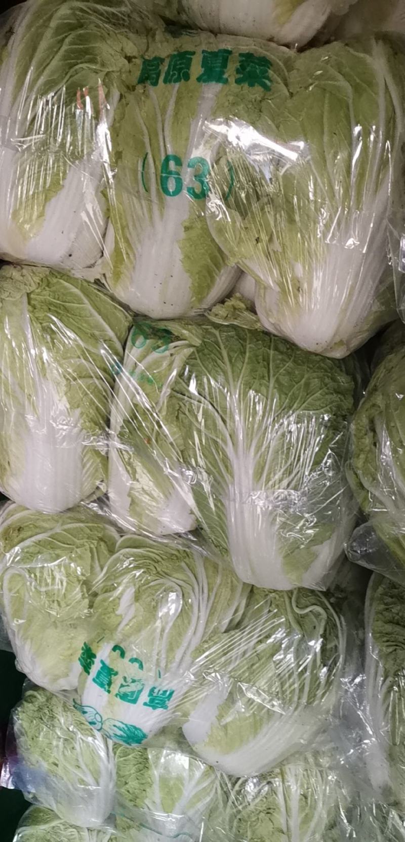精品白菜，质量保证日供应三十吨欢迎全国客户联系