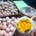 初生蛋精品双色25-29斤白风，黑风，粉八开产蛋基地