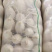 湖北白萝卜大量供应，物美价廉，可以发货，诚信经营质量保证