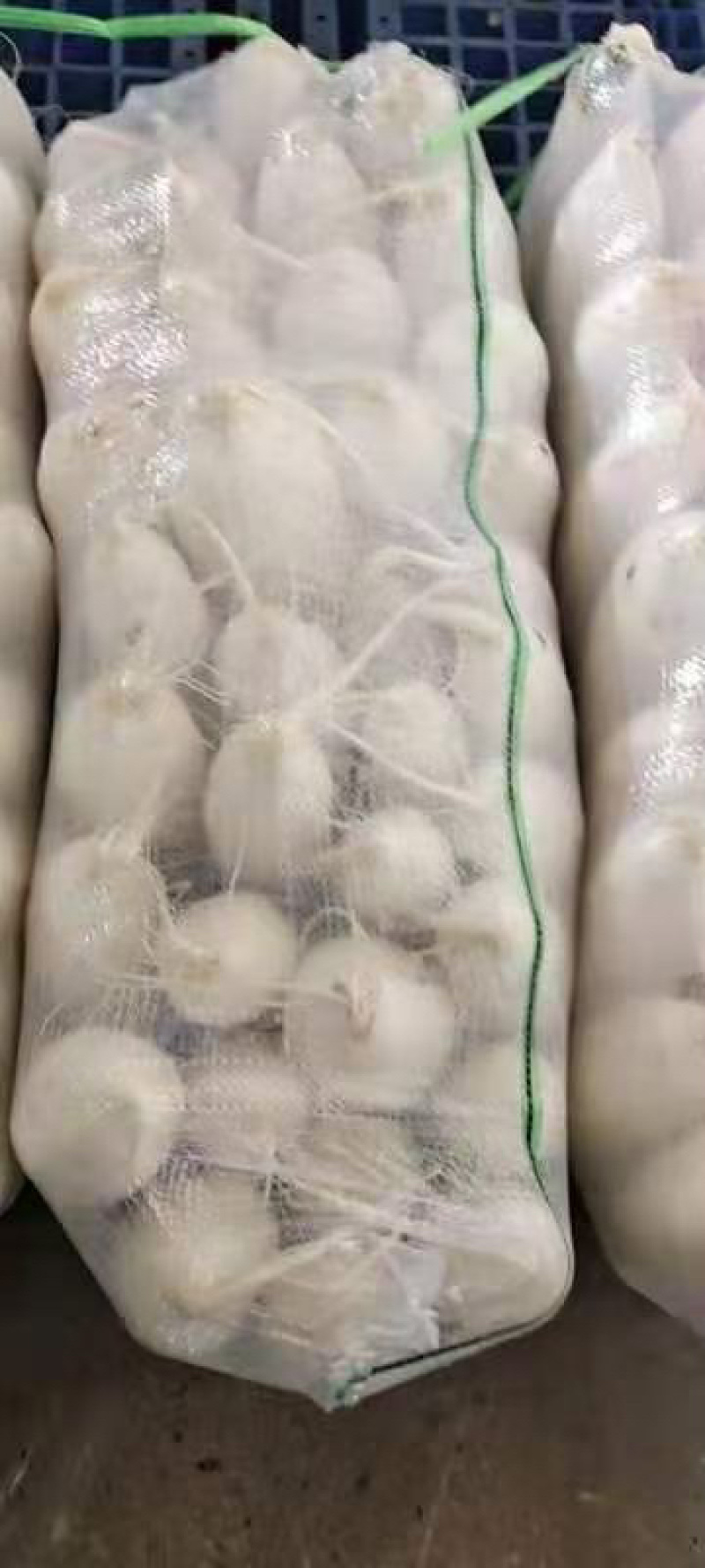 湖北白萝卜大量供应，物美价廉，可以发货，诚信经营质量保证