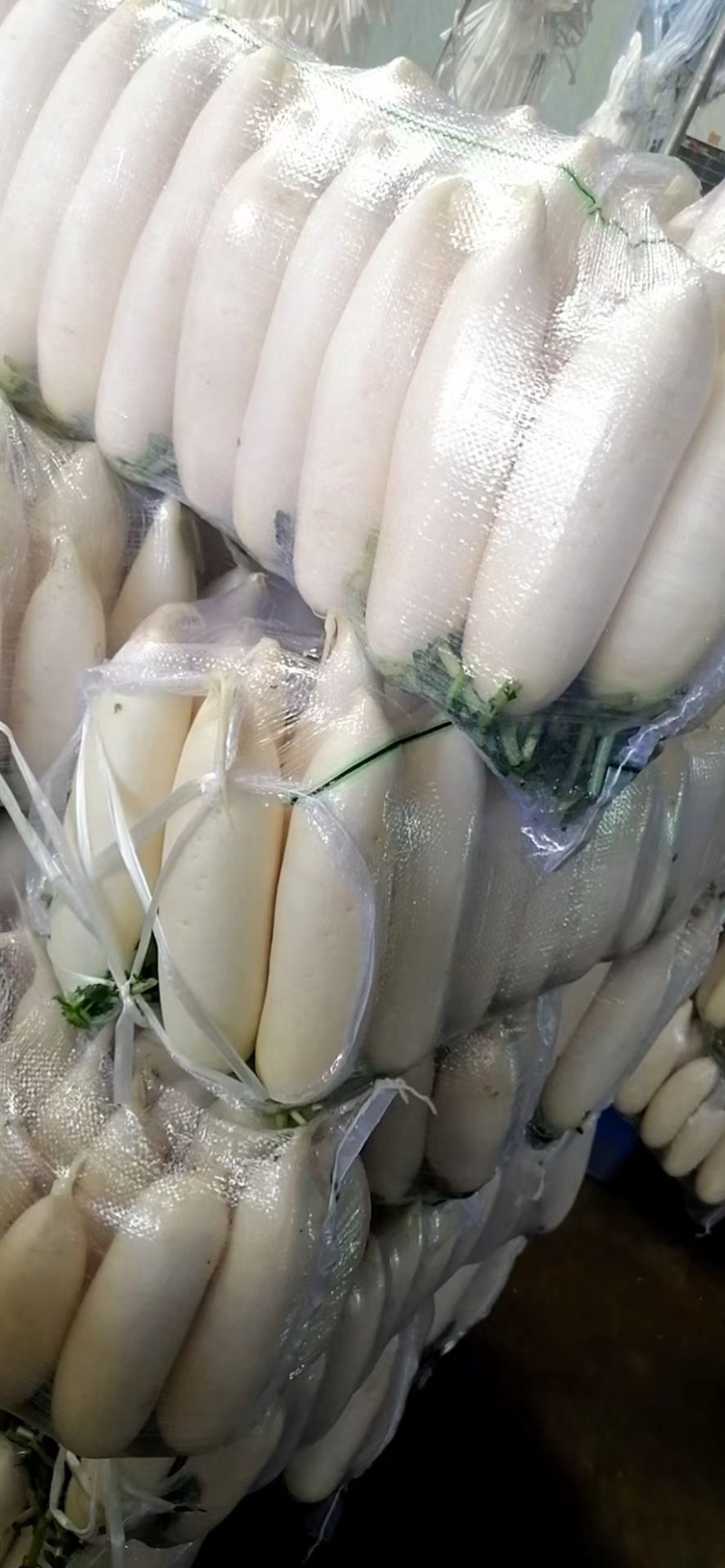 湖北白萝卜大量供应，物美价廉，可以发货，诚信经营质量保证