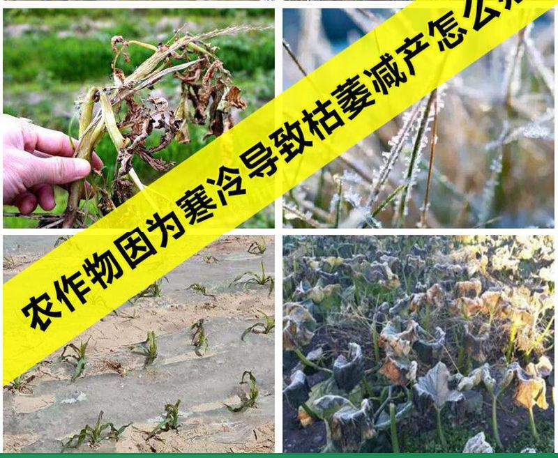 蔬菜大棚增温块加温暖房防寒保暖安全环保升温神器取暖加热块