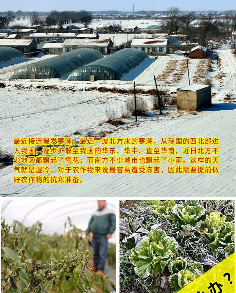 蔬菜大棚增温块加温暖房防寒保暖安全环保升温神器取暖加热块