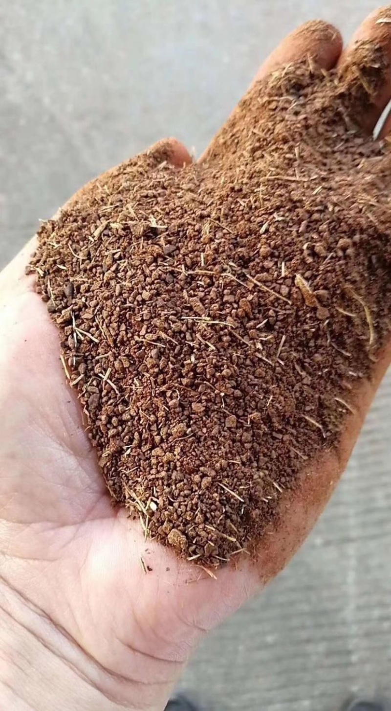 优质茶枯清塘除杂鱼鱼鳅黄鳝福寿螺