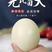 【新鲜鸵鸟蛋】可食用鸵鸟蛋精品礼盒装滋补健康送礼佳品