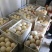 【新鲜鸵鸟蛋】可食用鸵鸟蛋精品礼盒装滋补健康送礼佳品