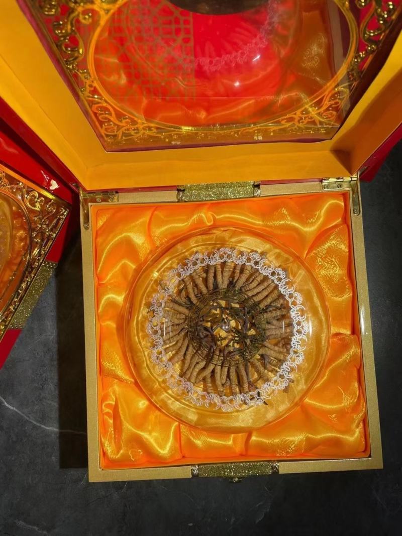 【好货】冬虫夏草，品质保证，一手货源，全国发货