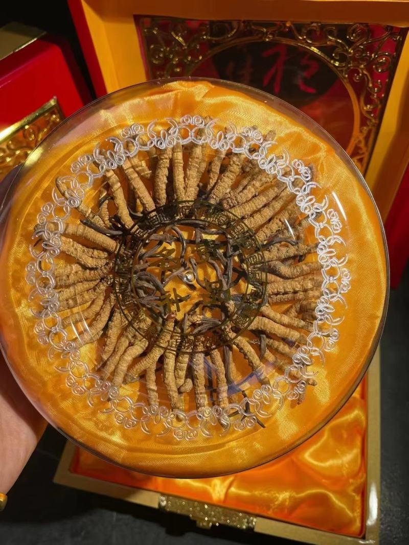 【好货】冬虫夏草，品质保证，一手货源，全国发货