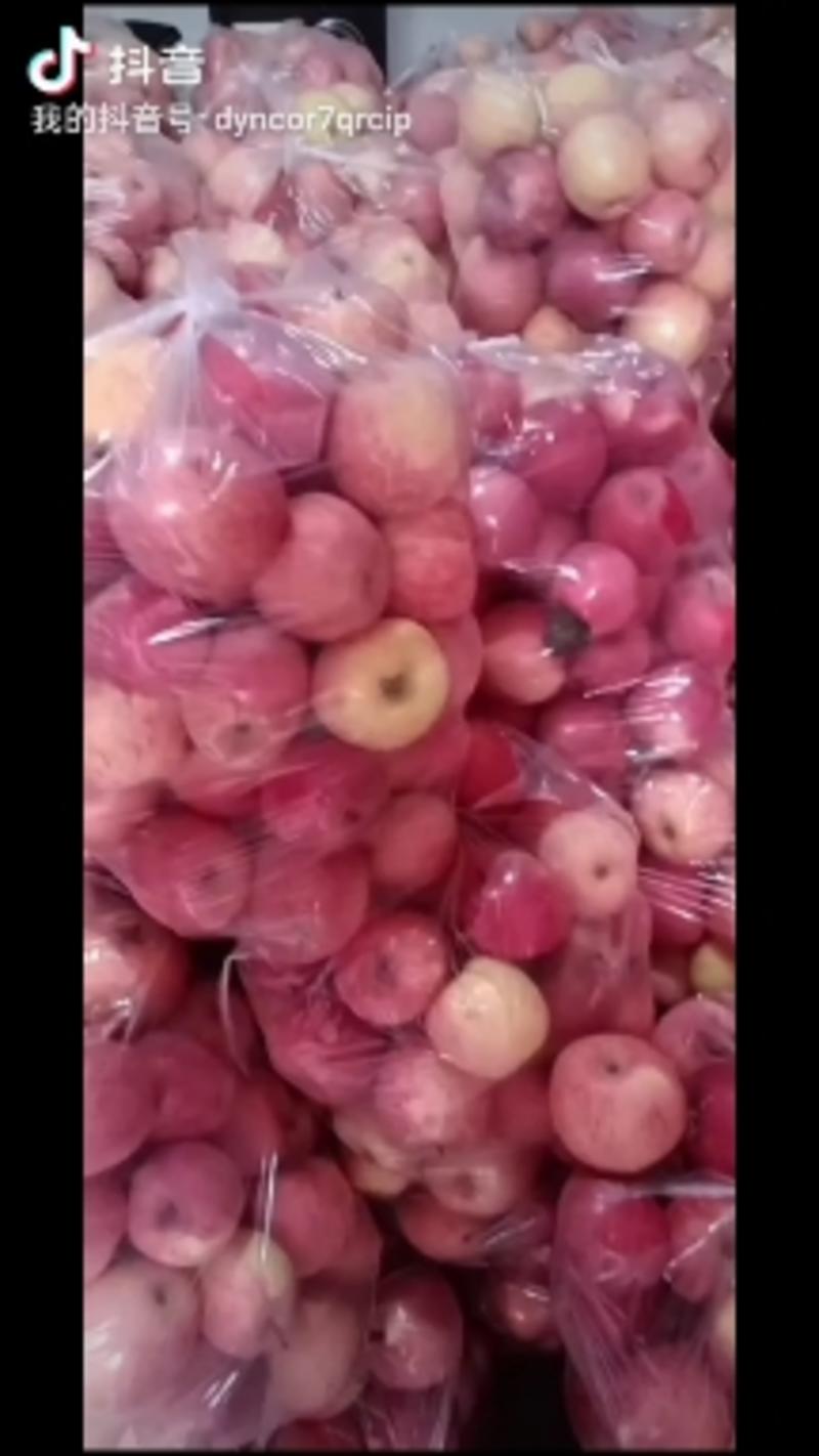 静宁红富士苹果大量现货，价位便宜