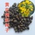 黄花槐种子黄花决明林木种子黄槐金凤树种籽优质园林绿化