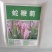 蛇鞭菊花种子易活春秋播多年生花种庭院园林绿化四季景观花种