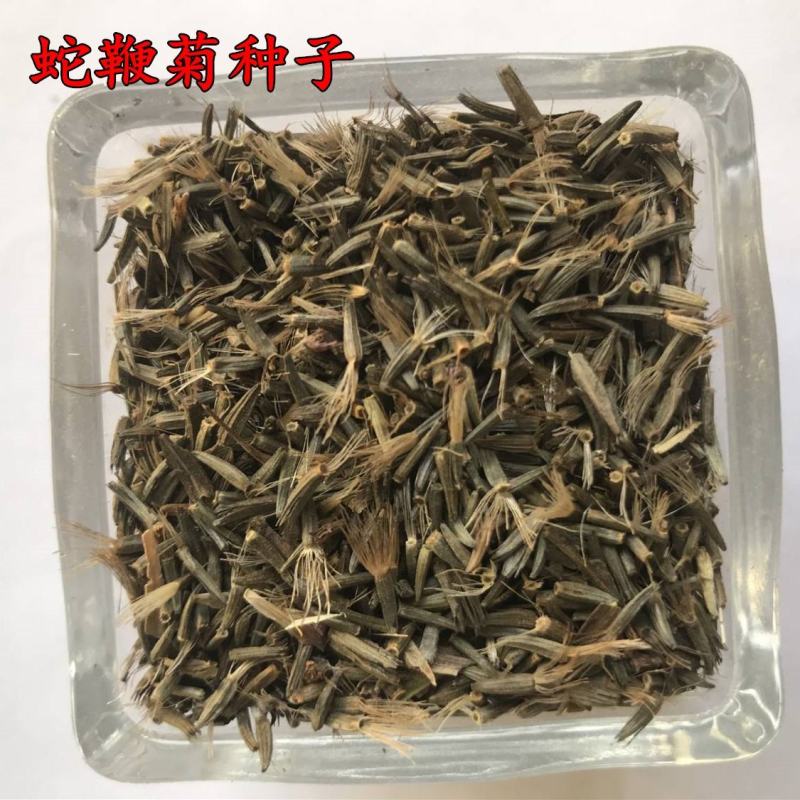蛇鞭菊花种子易活春秋播多年生花种庭院园林绿化四季景观花种
