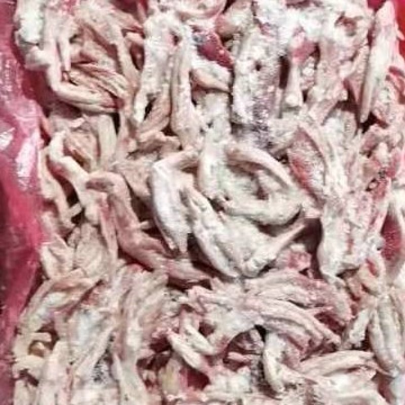 二级鸭掌手续齐全厂家直销质量保障量大优惠