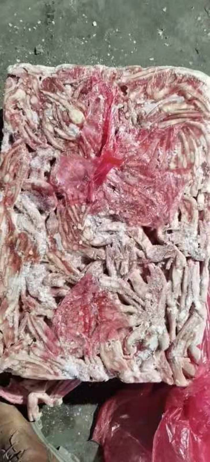 二级鸭掌手续齐全厂家直销质量保障量大优惠