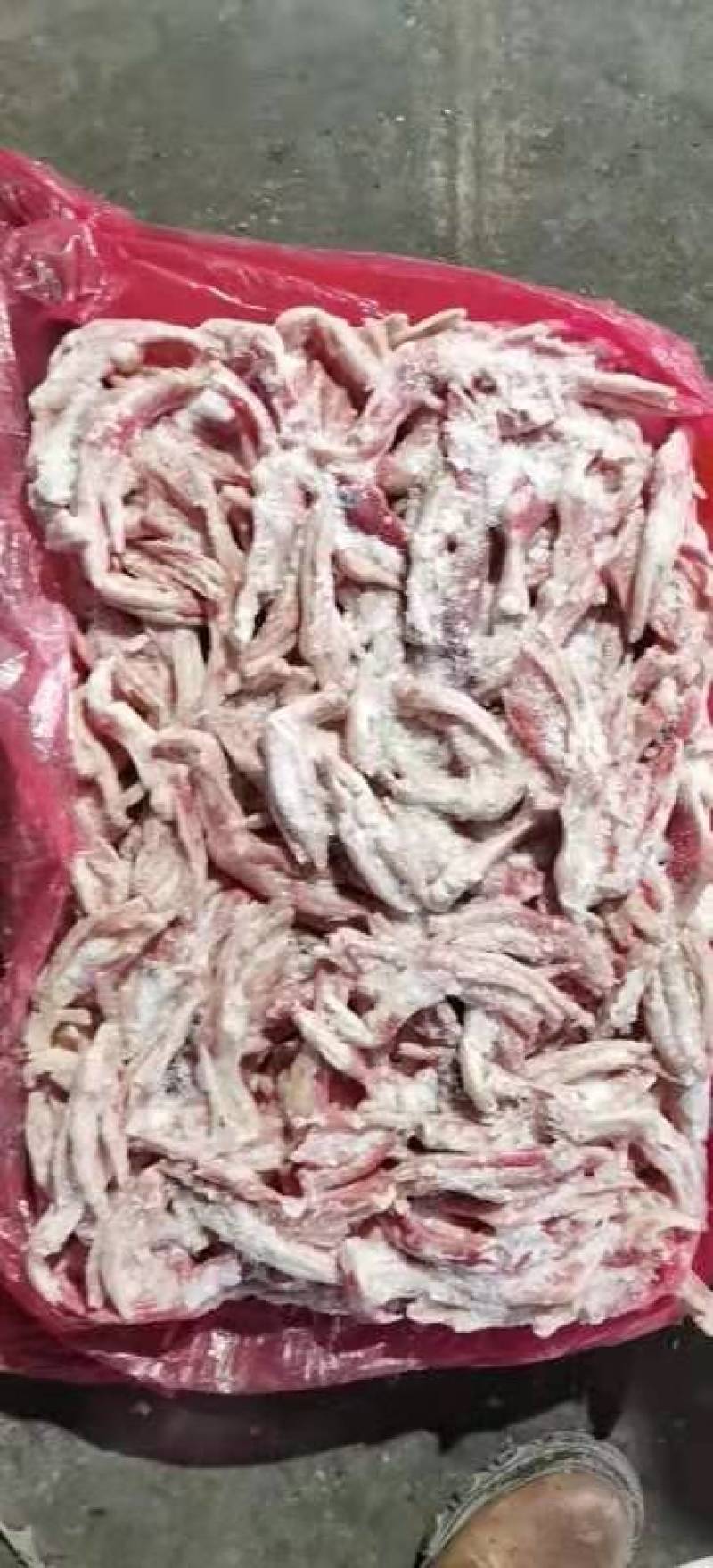 二级鸭掌手续齐全厂家直销质量保障量大优惠