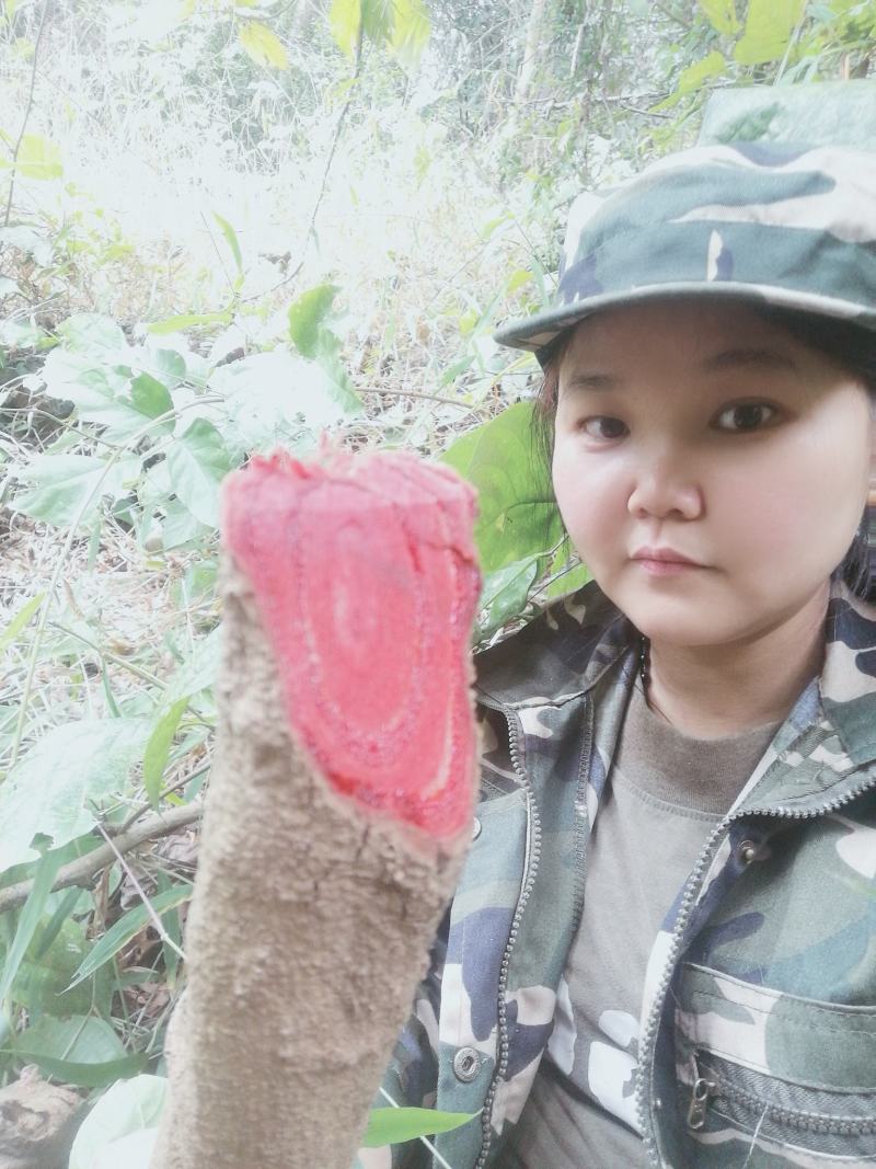 【低价出售】野生鸡血藤产地直供纯野生保质保量