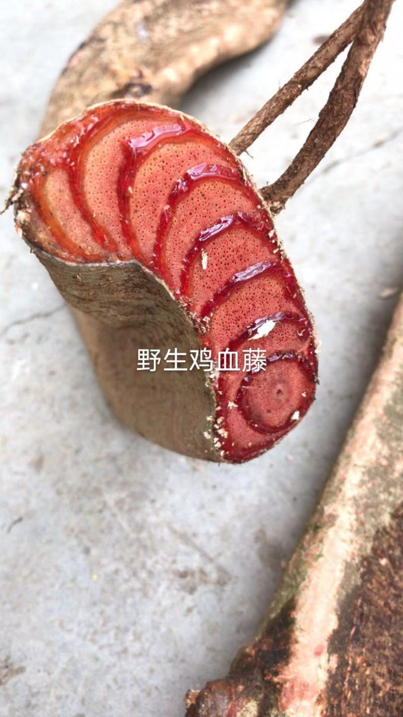 【低价出售】野生鸡血藤产地直供纯野生保质保量