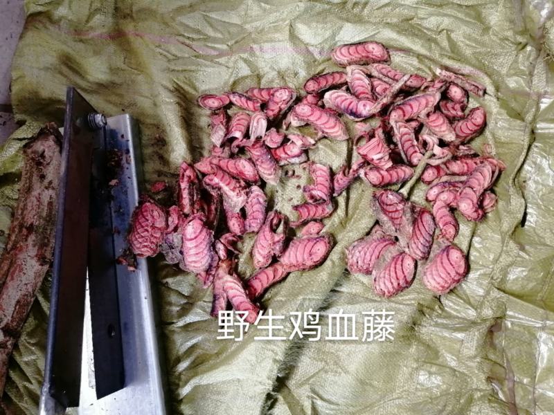 【低价出售】野生鸡血藤产地直供纯野生保质保量