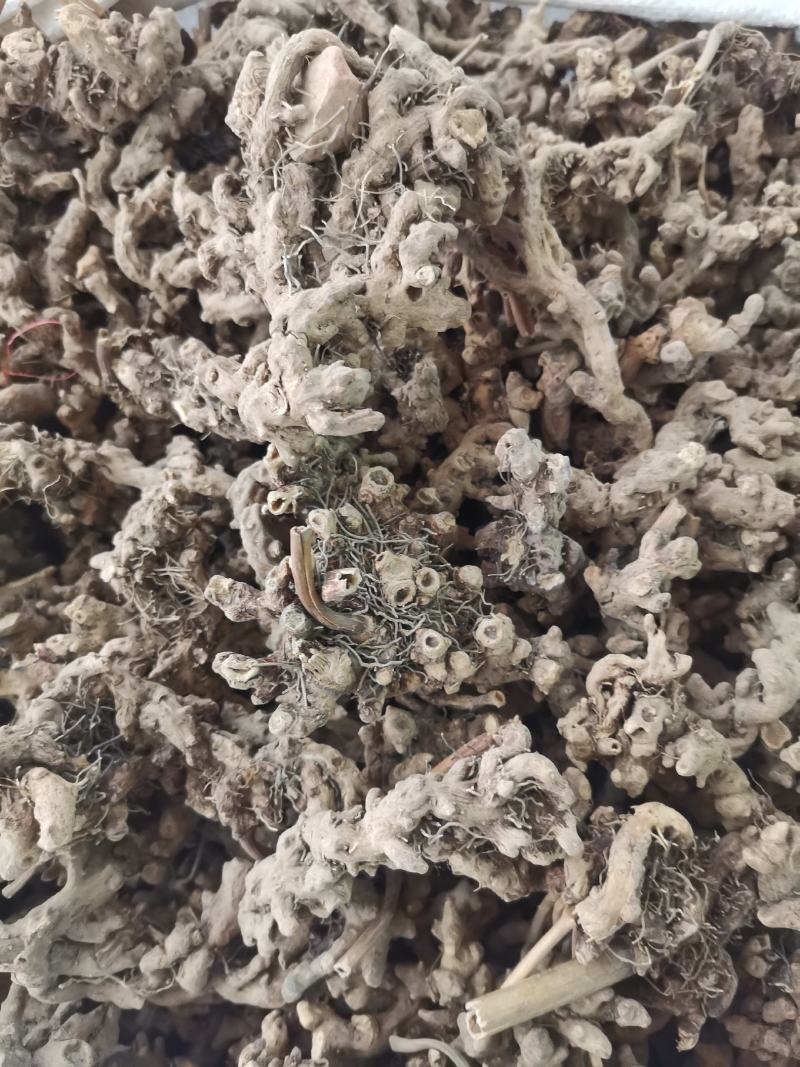 仙灵脾，淫羊藿根，淫羊藿，产地全年大货供应一件代发