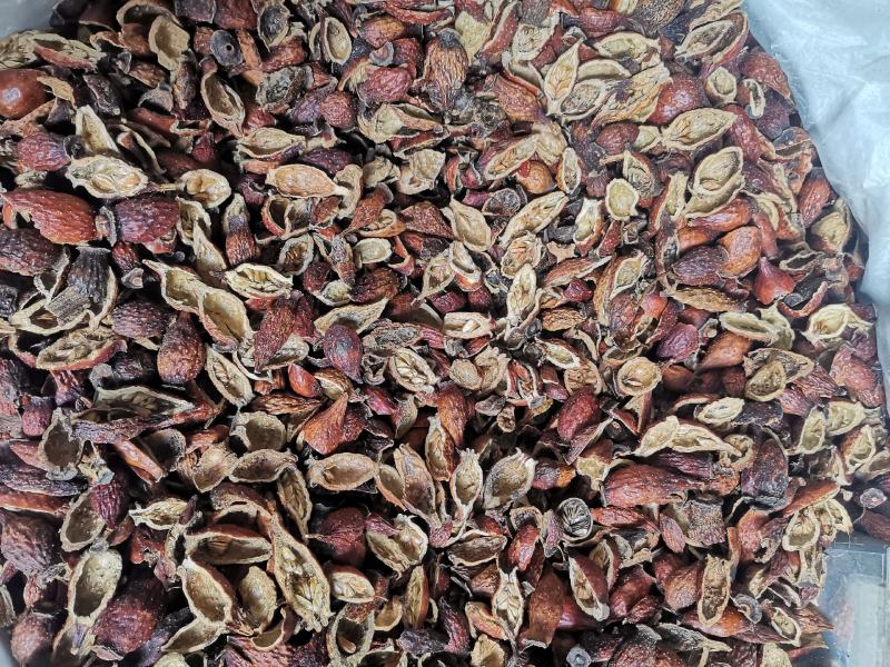 中药材泡酒料，金樱子，刺榆子，干净颜色鲜红，冷库保存