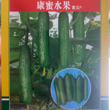 正宗水果黄瓜
