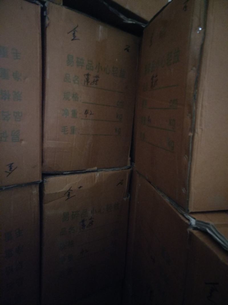 香菇椴木香菇椴木野生香菇广西大瑶山香菇产地直