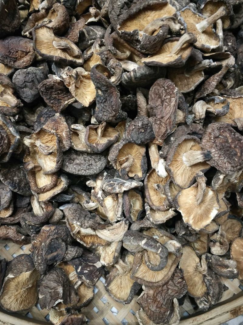 椴木香菇天然生态椴木香菇肉质细腻挑选货