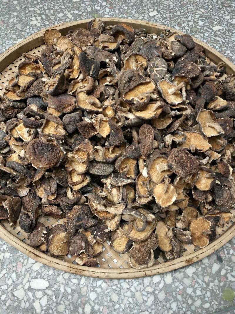 椴木香菇天然生态椴木香菇肉质细腻挑选货