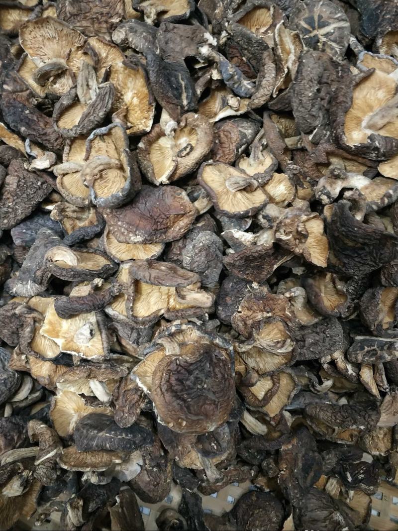 椴木香菇天然生态椴木香菇肉质细腻挑选货