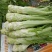 棒菜，棒菜上市！今天出货