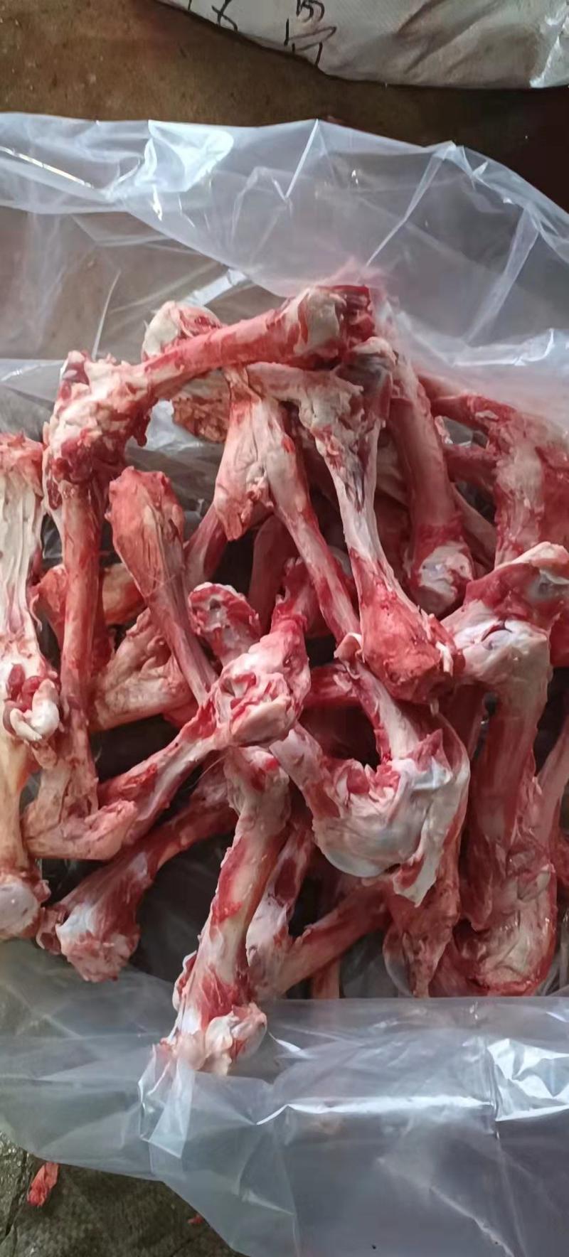 多肉大羊棒骨6元一斤全国发货可发样品