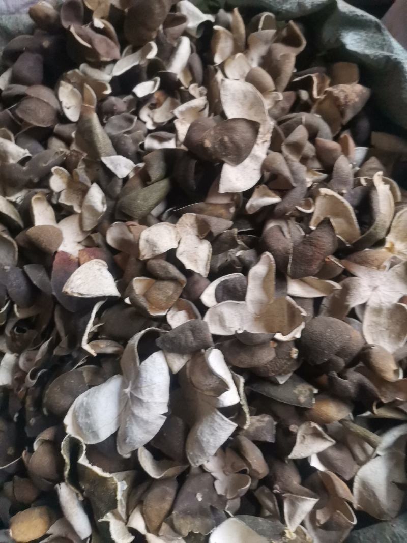 优质湖北湖南陈皮量大从优规格齐全个子切丝