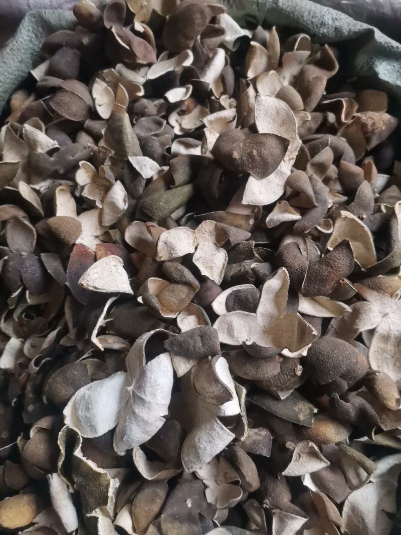 优质湖北湖南陈皮量大从优规格齐全个子切丝
