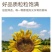 （包邮）瓜子仁坚果炒货小瓜子零食香辣葵瓜子仁小吃瓜子